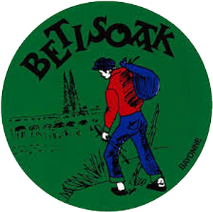Bidasoak
