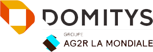 Domytis